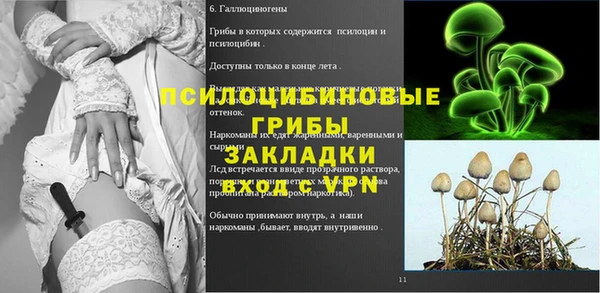 спайс Аркадак