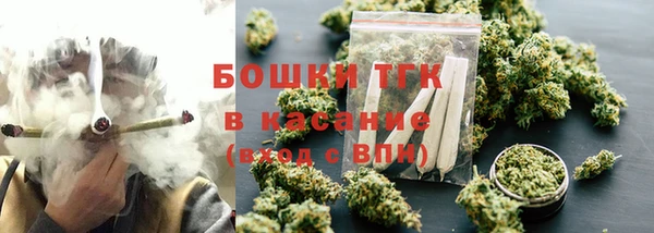 шишки Семилуки